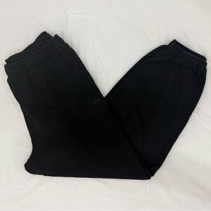 Aritzia Cozy Sweetfleece Mega Joggers